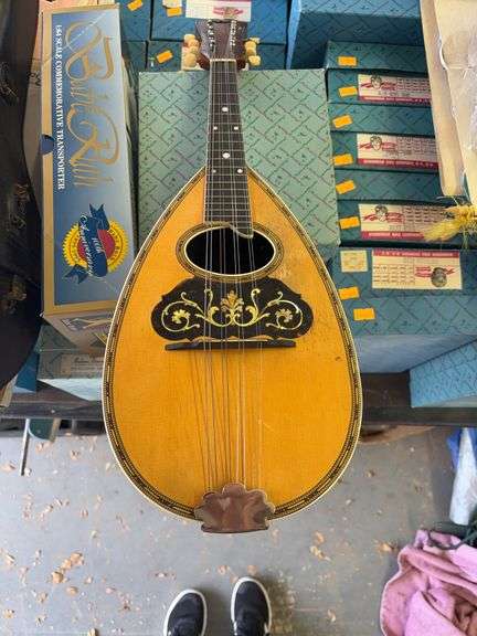 Mandolin Guitar image