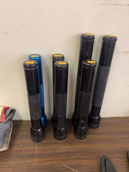 Assorted flashlights image