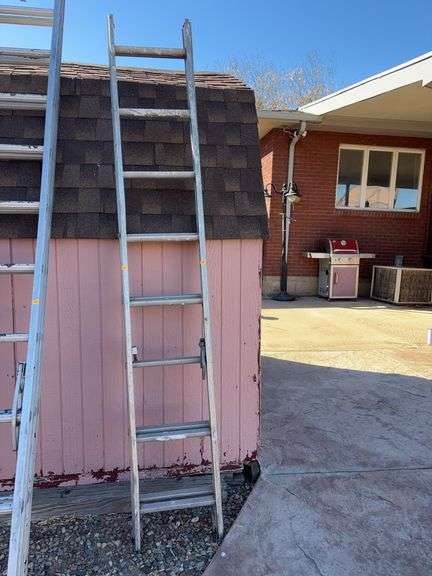 16ft heavy duty ladder image