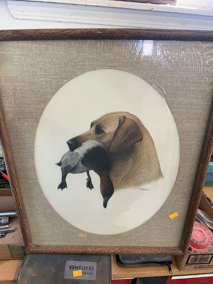 Water fowl picture image