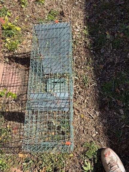 Small animal trap image