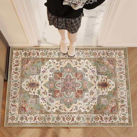 Area Rug 2x3 Door Mat,Washable Rugs,Stain Resistant Soft Thi image