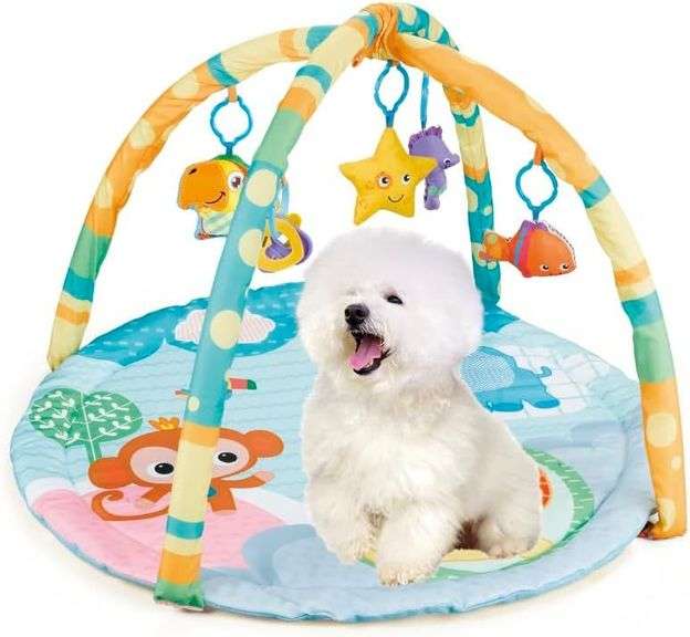 Puppy Play Gym - Dog & Cat Activity Mat with Squeaky Toys - image
