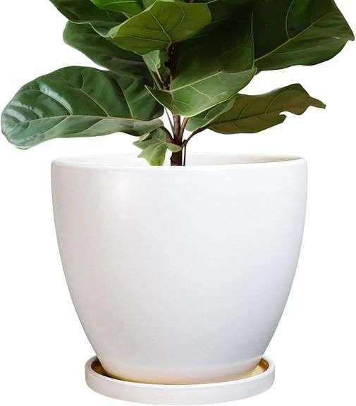 Ceramic Planter - 10 Inch Plant Pot with Drainage Hole and T image