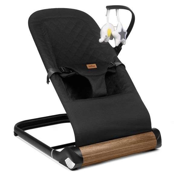 $110 Baby Bouncer Chair - Comfortable Support for Your Littl image