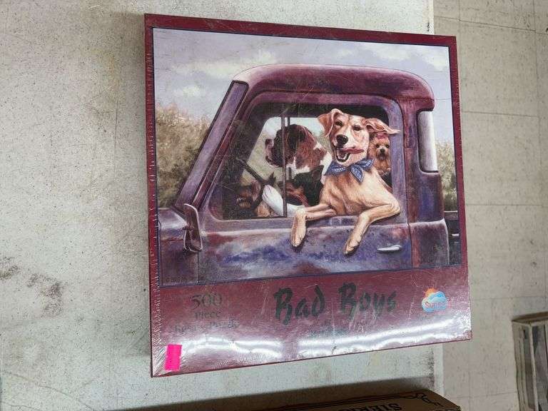 500 piece puzzle image