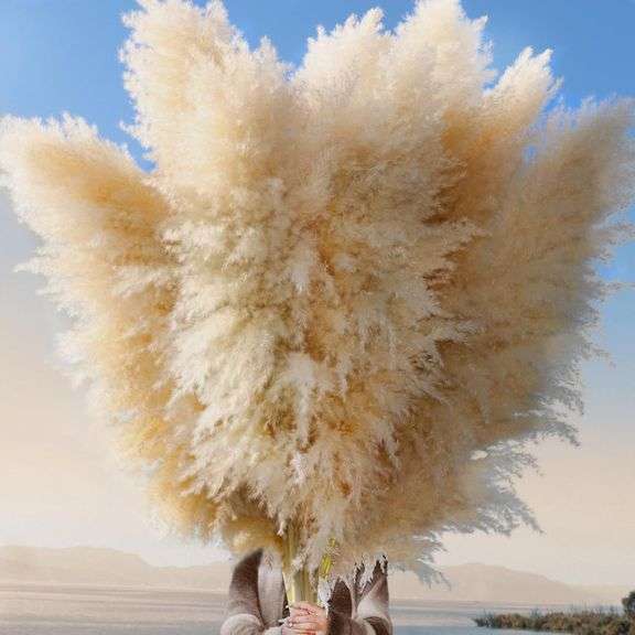 12pcs 40' Dried Pampas Grass Decor - Tall-Large Pampas Grass image