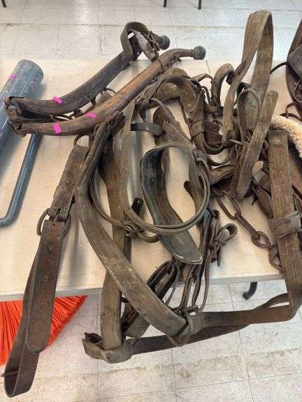 Vintage harness set image