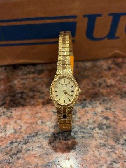 Citizens courts watch image