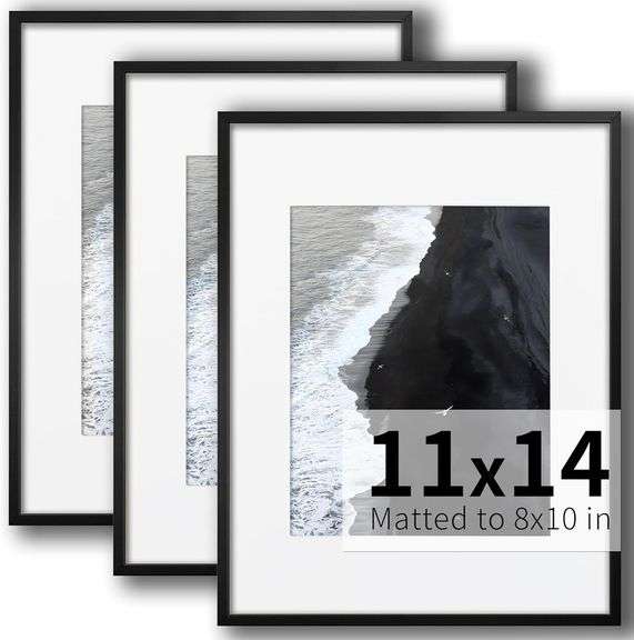 ZLG Black 11x14 Frame, Premium 11x14 Metal Frame Matted to 8 image