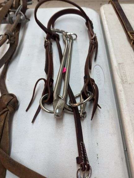 Horse bridle and twitch image