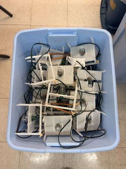 Tote of Christmas lights image