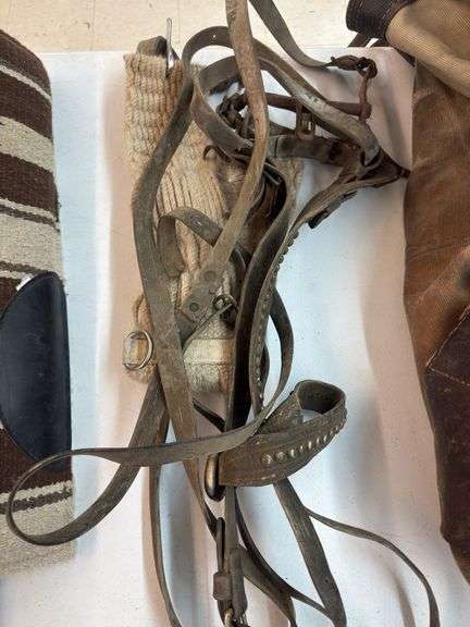 Vintage bridle and cinch image