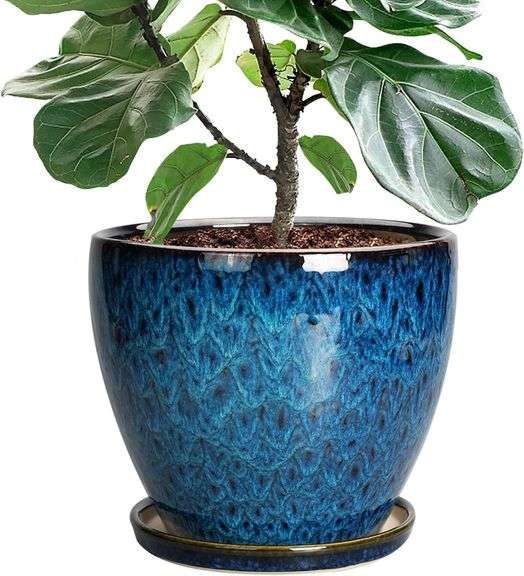 10 Inch Ceramic Planter Pot Round Plant Pot for Indoor Plant image