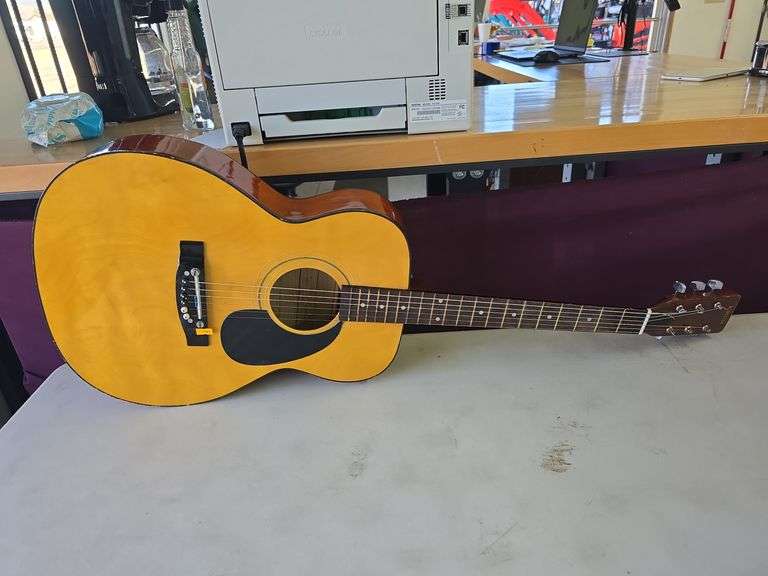 Kingston Acoustic Guitar image