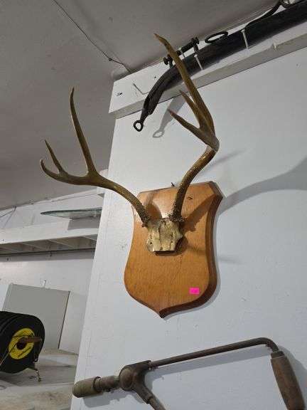Deer Antler Mount image