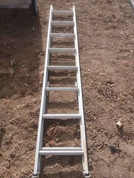 10 foot extendable ladder. image