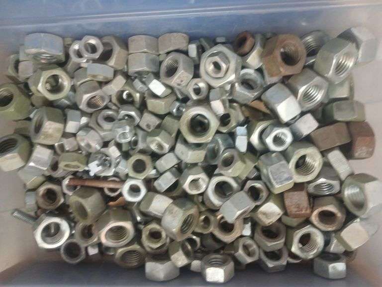 Bin of misc sized nuts. image