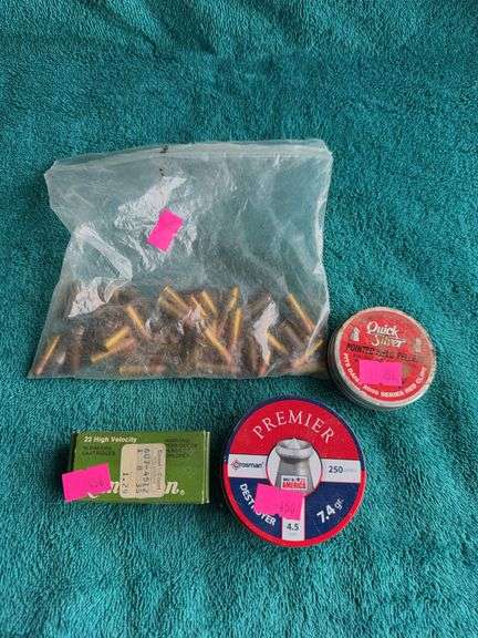 Assorted 22 ammo image