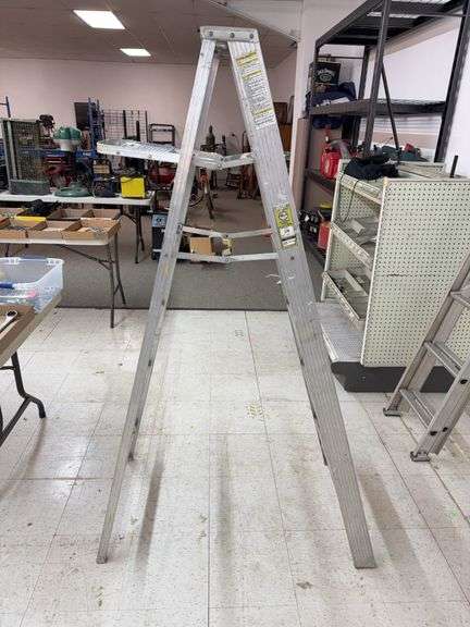 Werner 6 FT ladder image