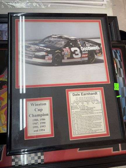 Dale Earnhart wall decor image
