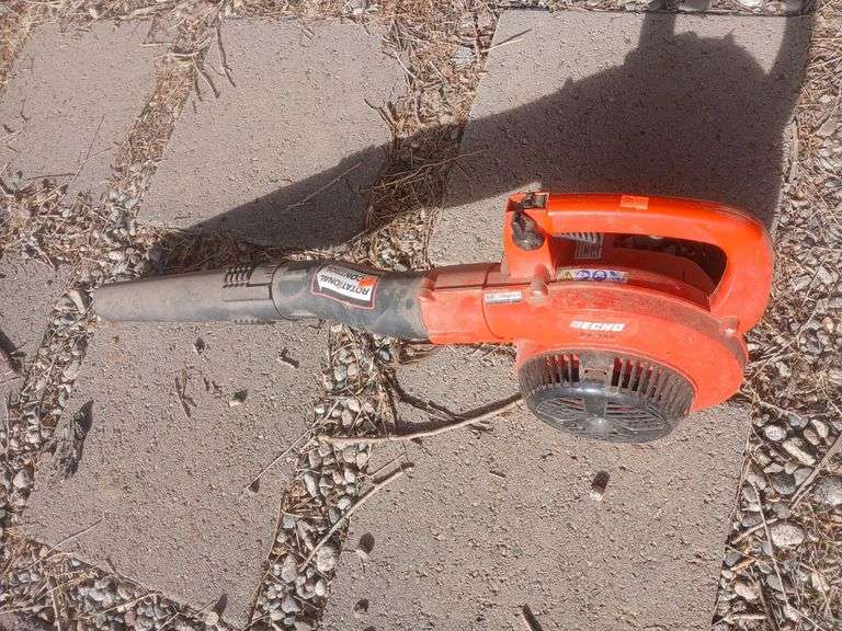 Echo gas leaf blower. image