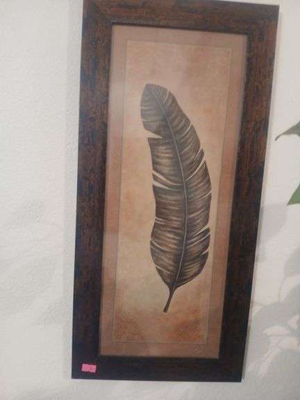 Feather picture. image
