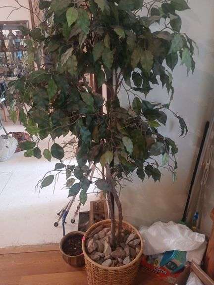 Artificial plant. image