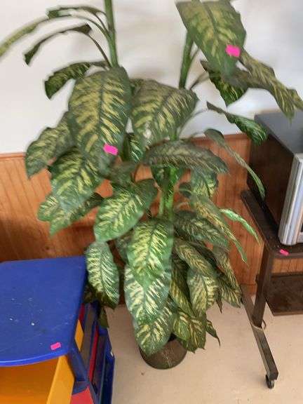 Artificial plant and pot image