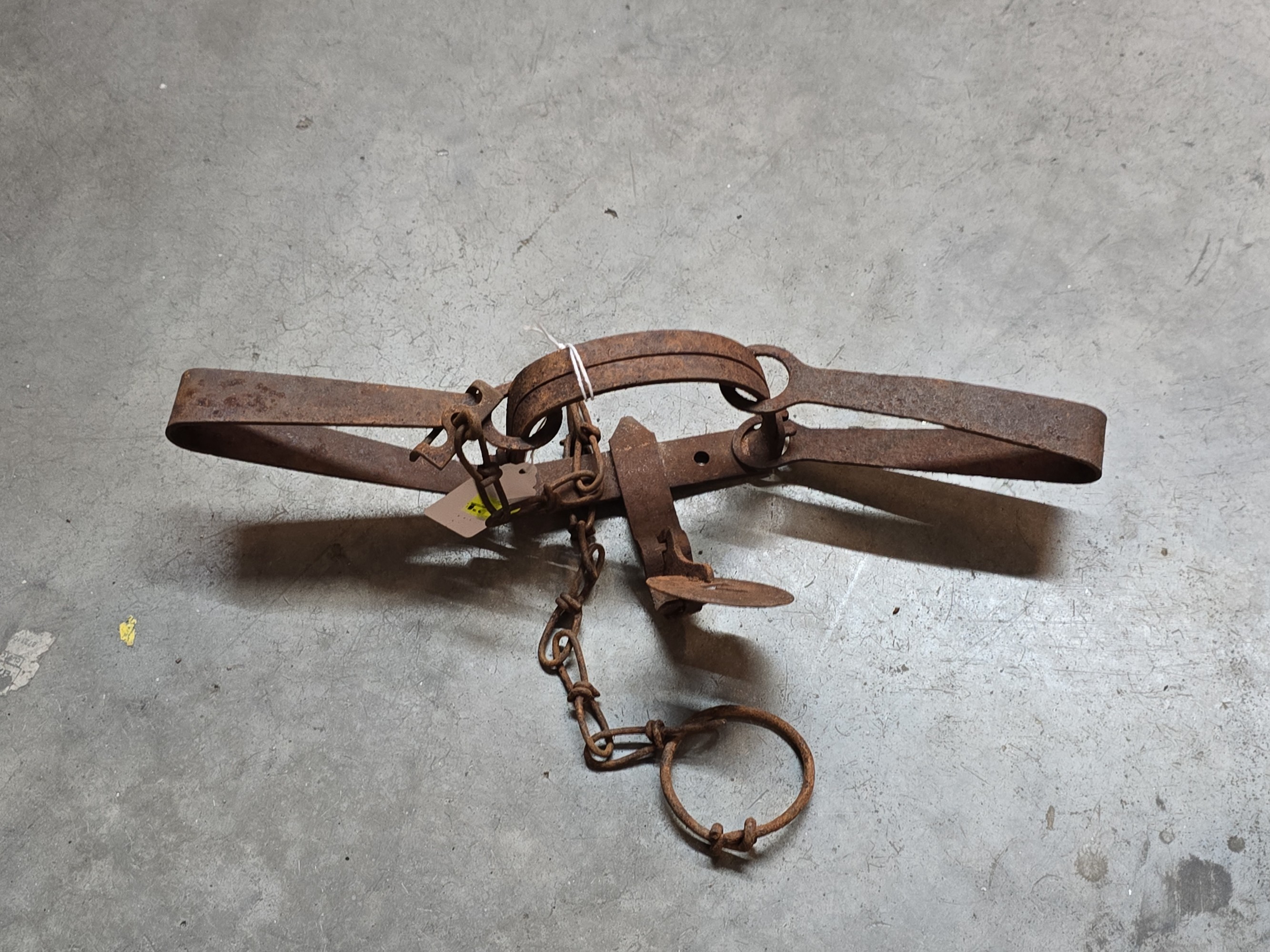 Lot image 1