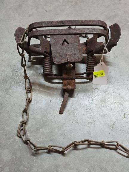 Animal Trap