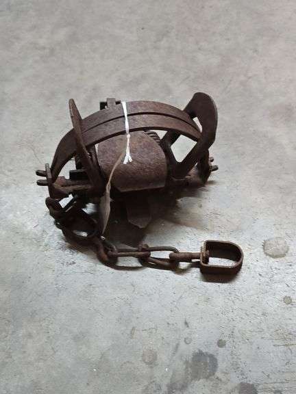 Animal Trap