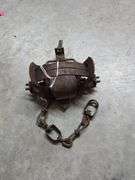 Animal Trap