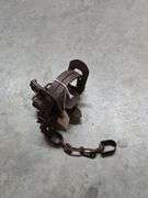 Animal Trap