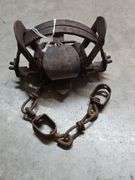 Animal Trap
