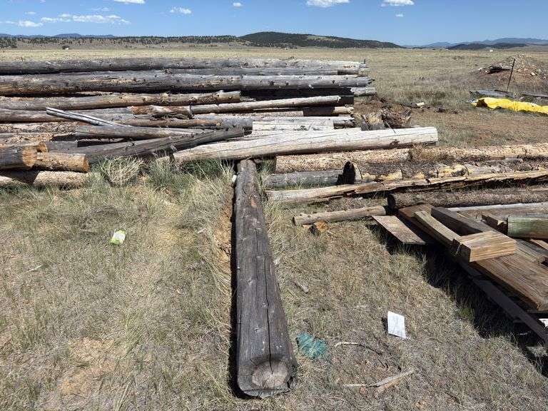 Large Lot of Timber Logs