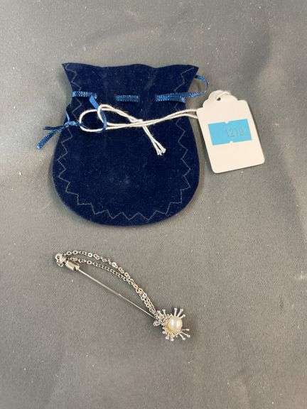 Blue pouch with sliver pin