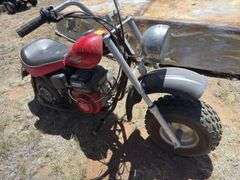 Baja Carbon 6.5hp minibike