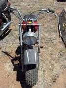 Baja Carbon 6.5hp minibike