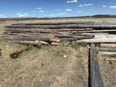 Large Lot of Timber Logs