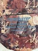 Ameristep pack in blind