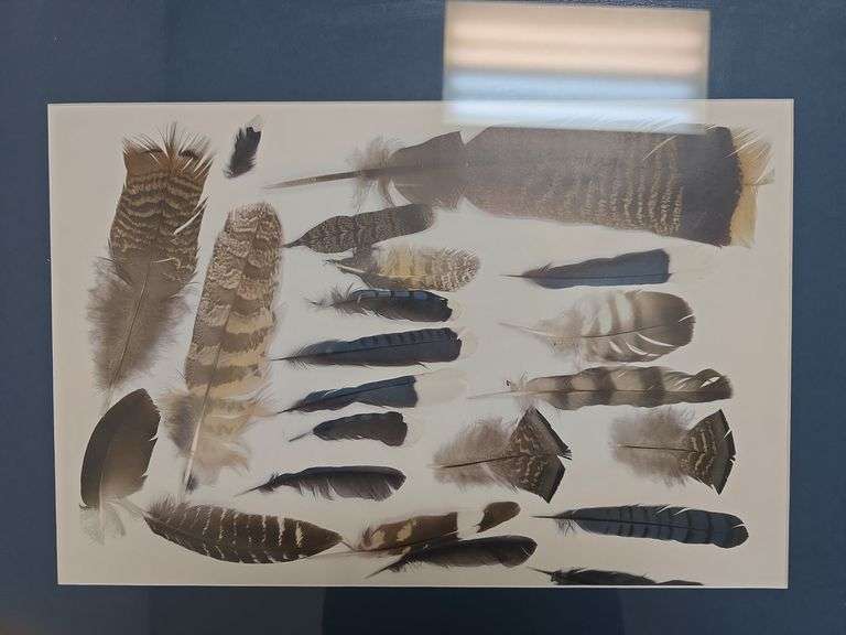 Framed Art
