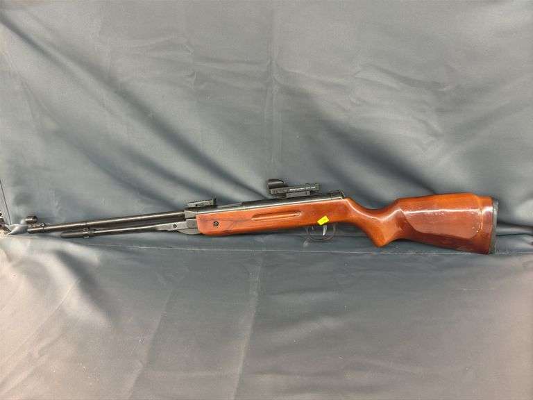 Pellet gun image