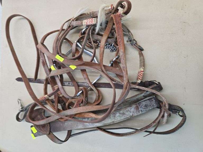Horse tack image