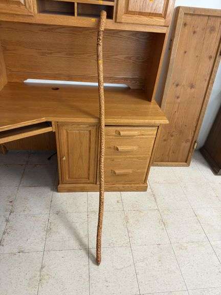 Walking stick image