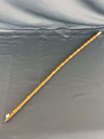 Vintage Style Bamboo Walking Stick with Griffin Handle