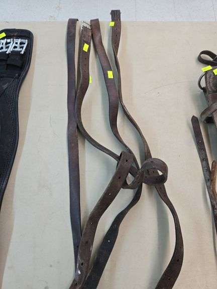 Horse tack image