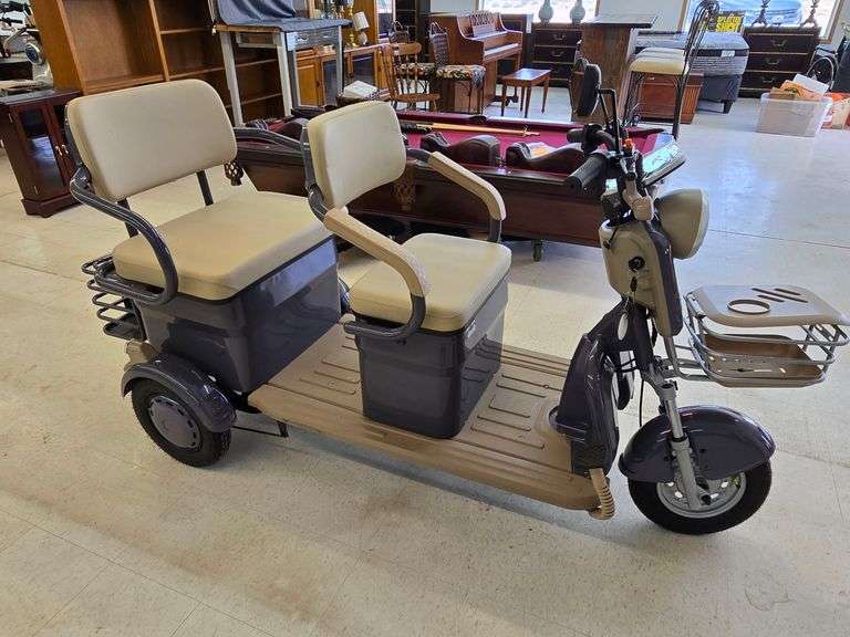 New Assembled IRGC40 Electric Mini Golf Cart- Purple