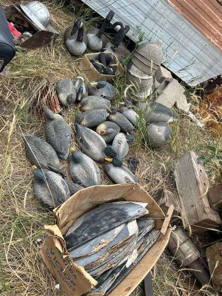Duck and goose decoys