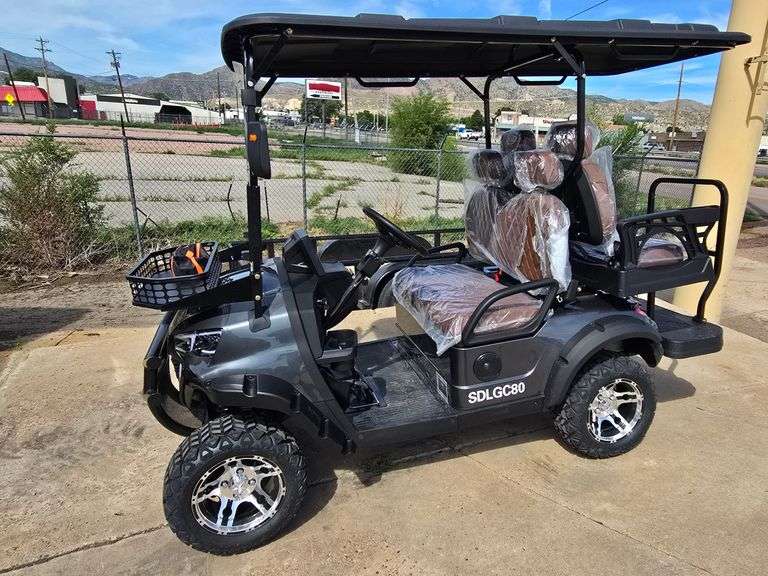 New Assembled Electric Golf Cart SDLGC80 image